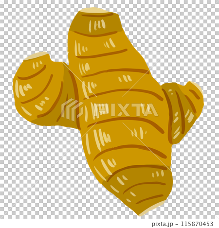 ginger ginger 115870453