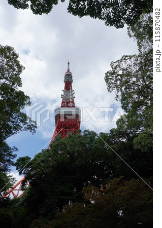 自然の額縁から見る東京タワー 115870482