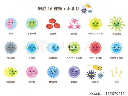 細胞16種類+おまけ 細胞16種類+おまけ 115870613