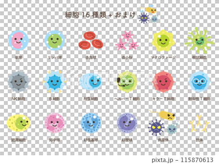 16種細胞+獎勵 115870613