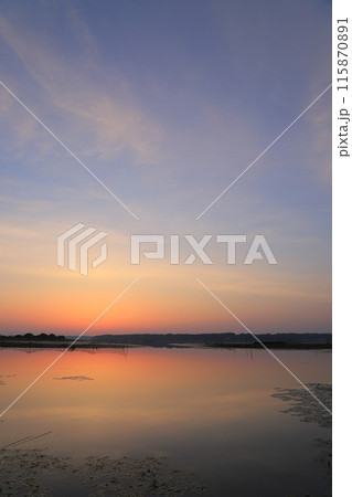 印旛沼の日の出の風景 115870891