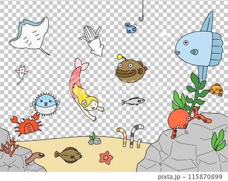 海の生き物のイラスト 115870899