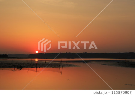 印旛沼の日の出の風景 印旛沼の日の出の風景 115870907