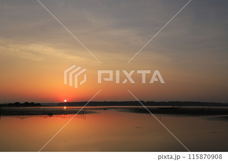印旛沼の日の出の風景 115870908