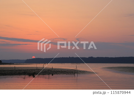 印旛沼の日の出の風景 印旛沼の日の出の風景 115870944