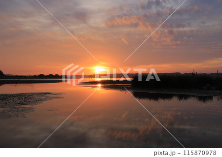 印旛沼の日の出の風景 115870978