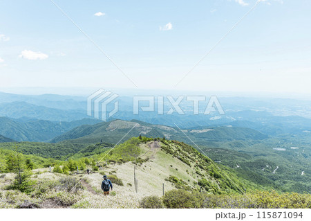 赤薙山の稜線歩き 赤薙山の稜線歩き 115871094