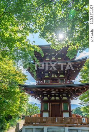奈良県明日香村　新緑の美しい初夏の岡寺にある三重塔 115871107
