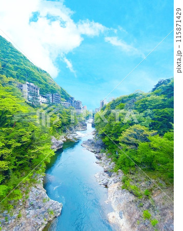 新緑に映える初夏の鬼怒川 115871429
