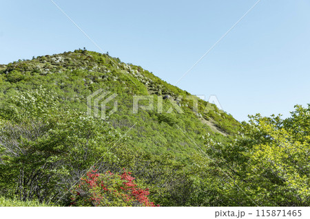 赤薙山の稜線を歩く 115871465