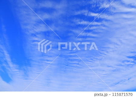 爽やかな青空 115871570