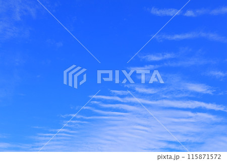 爽やかな青空 115871572