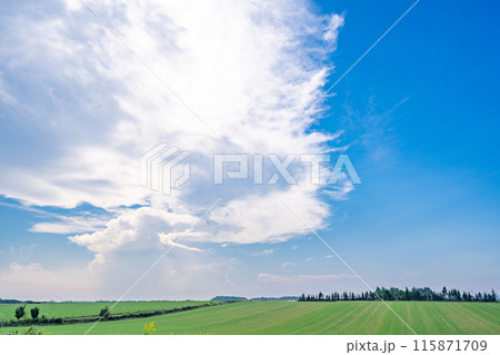 草原と青い空 草原と青い空 115871709