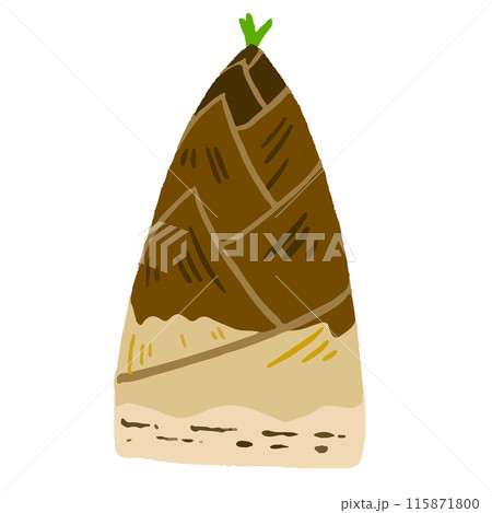 たけのこ 115871800