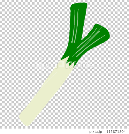 ねぎ 115871804