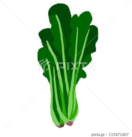 ほうれん草 ほうれん草 115871807