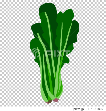 spinach spinach 115871807