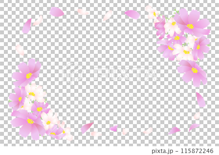 Cosmos petal frame 115872246