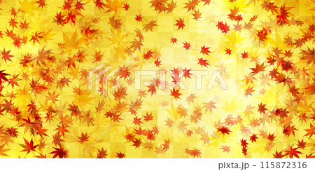 紅葉　葉　秋　背景	 115872316