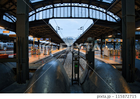フランス パリ東駅 改札口 フランス パリ東駅 改札口 115872715
