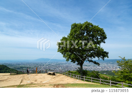 奈良県・若草山から望む奈良市街の風景 奈良県・若草山から望む奈良市街の風景 115873055