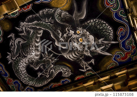 森の中で咲き誇るクリンソウ 115873108