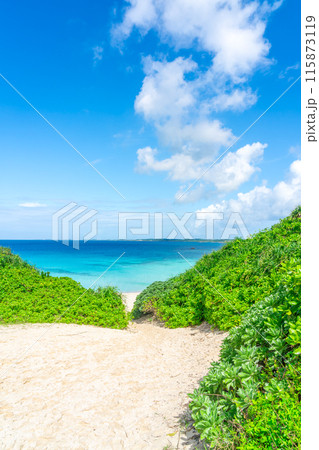 宮古島の海 宮古島の海 115873119