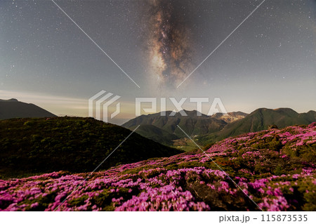 ミヤマキリシマを彩る天の川 ミヤマキリシマを彩る天の川 115873535