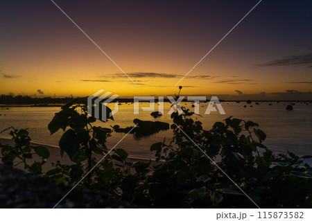 佐和田の浜の夕焼け 115873582