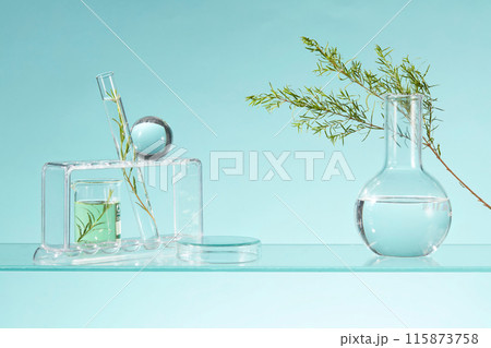 A flat-bottom florence flask arranged with a beaker, a test tube and a glass ball. Small podium with blank space for product presentation. Tea tree oil is an essential oil that has several uses A flat-bottom florence flask arranged with a beaker, a test tube and a glass ball. Small podium with blank space for product presentation. Tea tree oil is an essential oil that has several uses 115873758