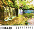軽井沢　幸運の白糸の滝 115873865
