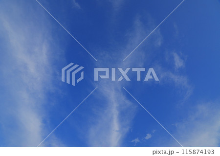 青空に浮かぶ雲 115874193