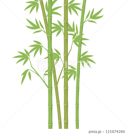 竹イラスト 115874260
