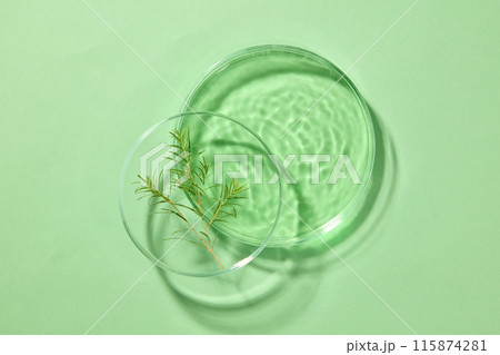 Green background features two laboratory petri dishes containing tea tree leaves and filled with liquid. Concept laboratory tests and research natural extract making cosmetics Green background features two laboratory petri dishes containing tea tree leaves and filled with liquid. Concept laboratory tests and research natural extract making cosmetics 115874281