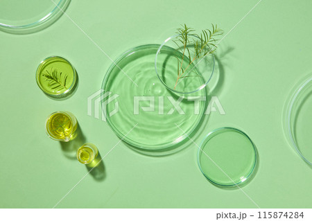 Yellow and green chemical liquid filled inside some laboratory petri dishes with tea tree leaves. Pastel green background. Tea tree oil is an essential oil that has many benefits for the skin 115874284