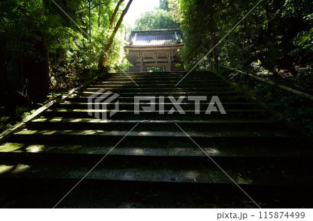 彦根龍潭寺 115874499