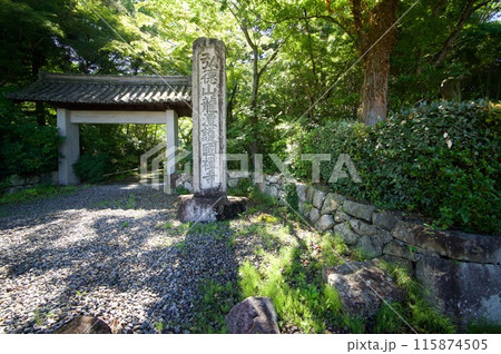 彦根龍潭寺 彦根龍潭寺 115874505