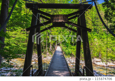 柿其渓谷　恋路のつり橋 115874706