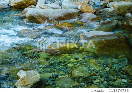 柿其渓谷の清らかな清流 115874728