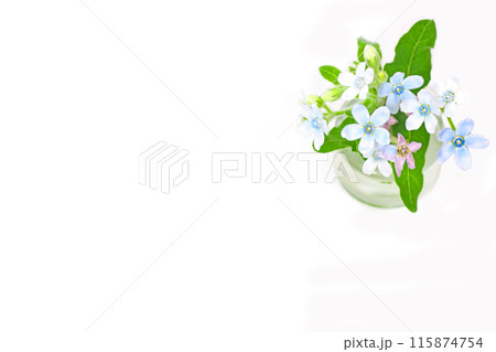 ガラス瓶に活けた青い花ブルースター 115874754