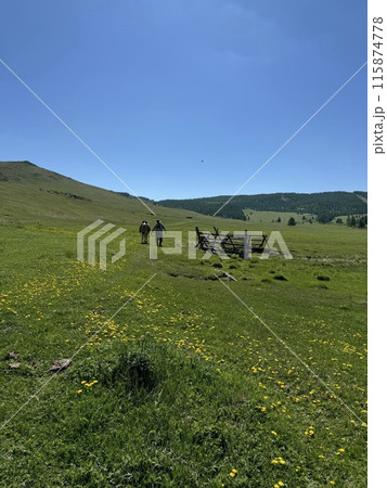 草原の水飲み場で馬を引く 115874778