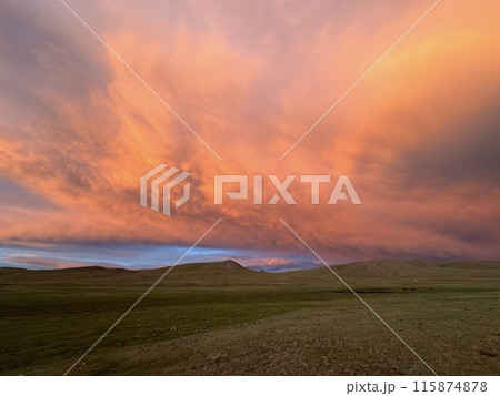 夕刻の草原 115874878