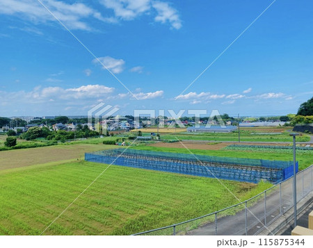 平塚の田舎風景 神奈川県動物愛護センターから見た風景 平塚の田舎風景 神奈川県動物愛護センターから見た風景 115875344