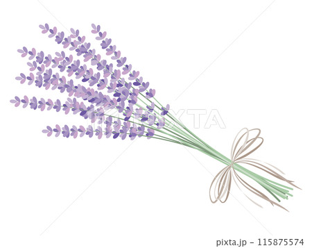 ナチュラルできれいなラベンダーの花束のイラスト 115875574