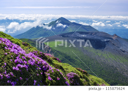 ミヤマキリシマ の霧島連山 115875624