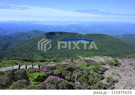 ミヤマキリシマ の霧島連山 115875629