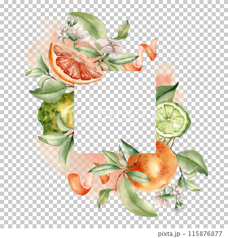 Mixed ripe citrus fruits and white flowers, watercolor splash isolated frame. Hand drawn grapefruit peel, tree branch and jasmine in botanical sketch for package aroma product, summer floral card Mixed ripe citrus fruits and white flowers, watercolor splash isolated frame. Hand drawn grapefruit peel, tree branch and jasmine in botanical sketch for package aroma product, summer floral card 115876877