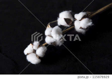 綿花のイミテーション 115876929