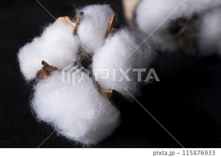 綿花のイミテーション 115876933