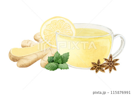 Healing herbal dinger tea in glass cup with lemon, spearmint and star anise illustration isolated on white. Hot vegan beverage of organic ingredients against flu and cold. Hand drawn clipart Healing herbal dinger tea in glass cup with lemon, spearmint and star anise illustration isolated on white. Hot vegan beverage of organic ingredients against flu and cold. Hand drawn clipart 115876991
